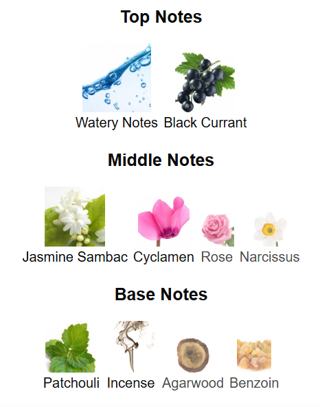 Flavia Prive No06 EDP 100ml